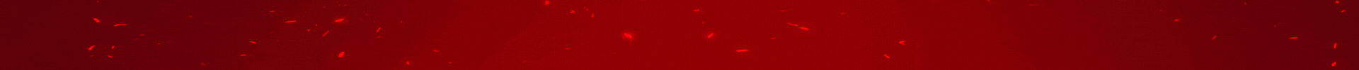 Banner đầu website